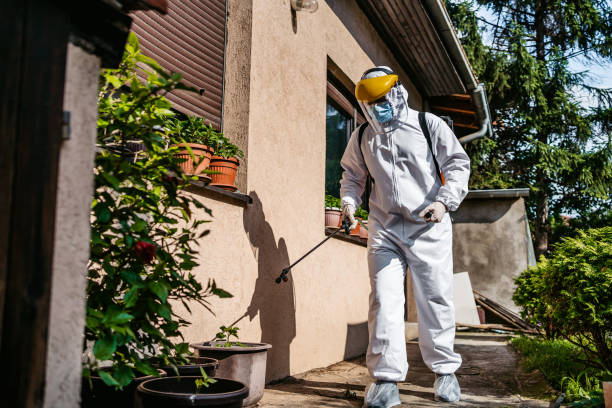 Best Ant Control Services  in Stockton, KS