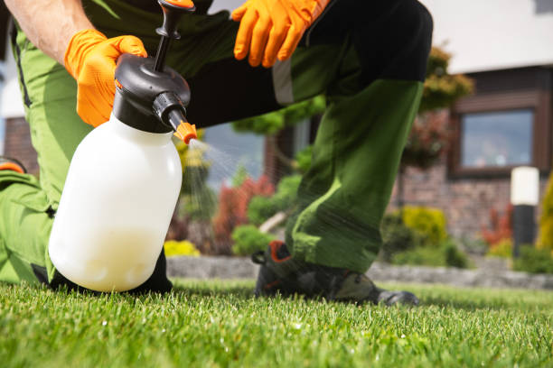 Best Termite Control Services  in Stockton, KS