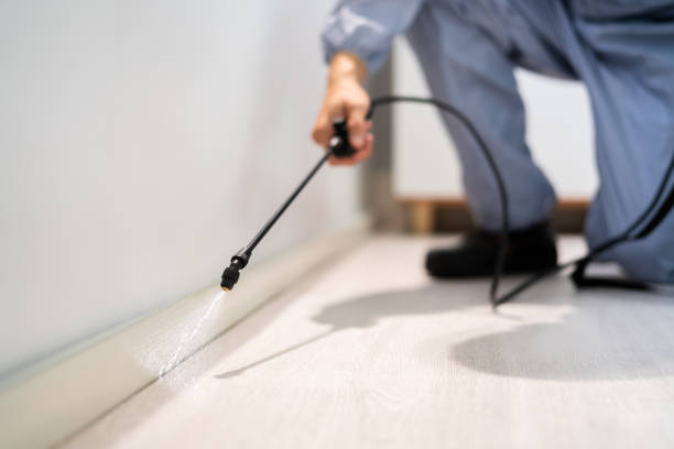 Best Affordable Pest Control Services  in Stockton, KS