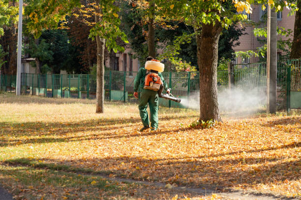 Best Pest Prevention Services  in Stockton, KS