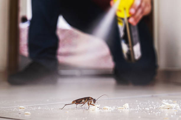 Best Best Pest Control Companies  in Stockton, KS