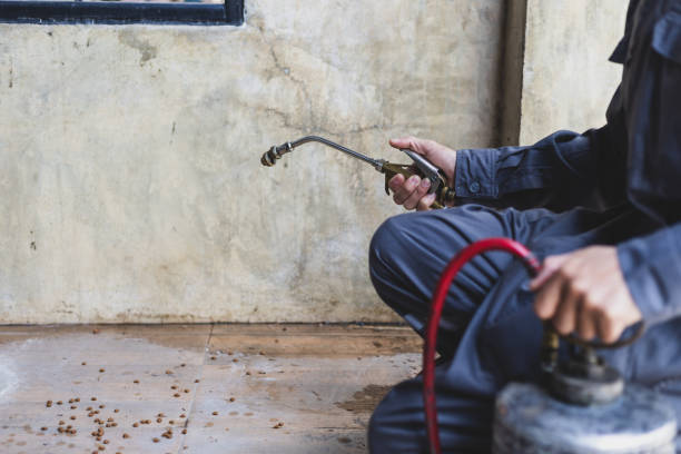 Best Mosquito Control Services  in Stockton, KS